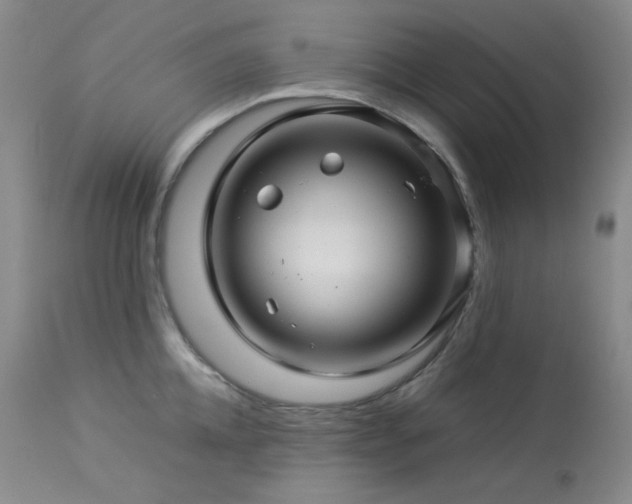 X0000113990952200910021219