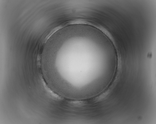 X0000113990953200910021219