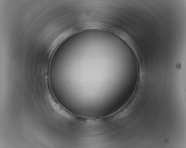 X0000113990954200910021219