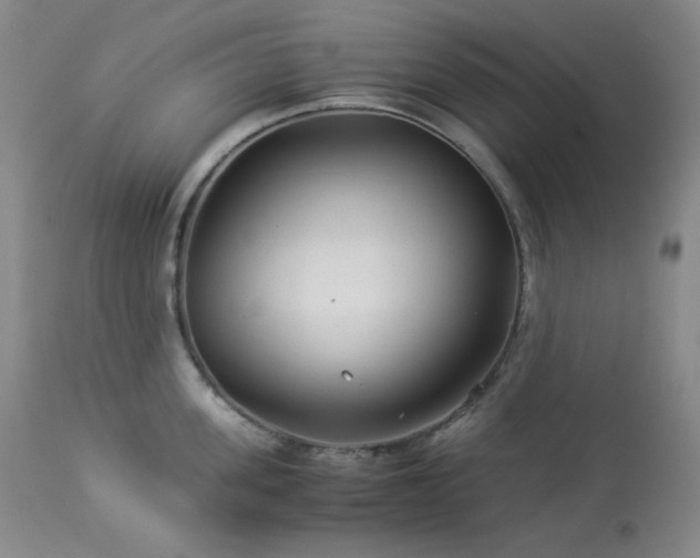 X0000113990955200910021219