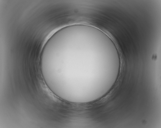 X0000113990956200910021219