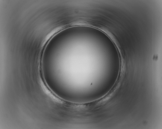 X0000113990957200910021219