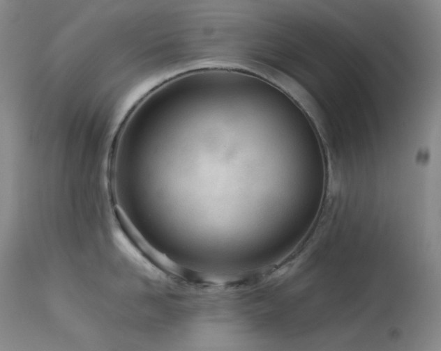 X0000113990958200910021219