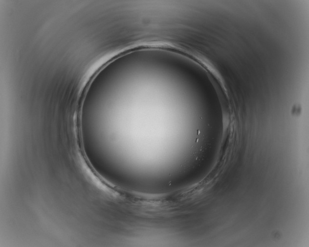 X0000113990959200910021219