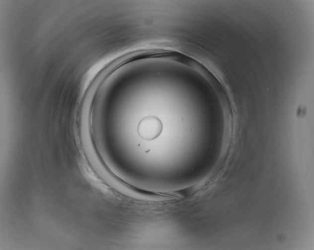 X0000113990960200910021219