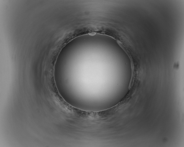 X0000113990961200910021219