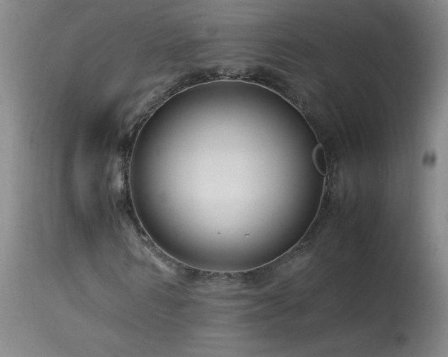 X0000113990962200910021219