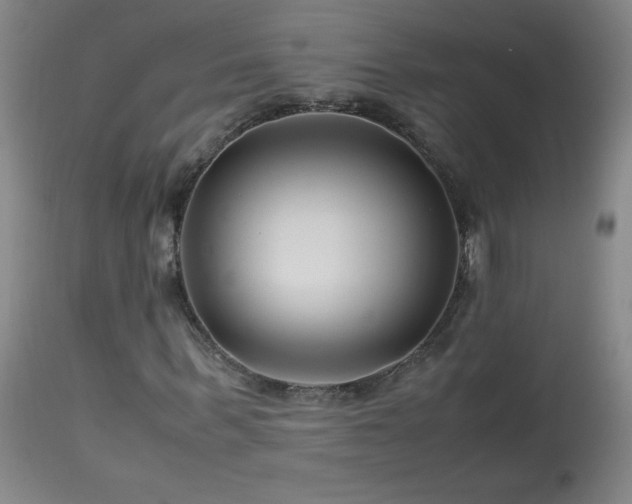 X0000113990963200910021219