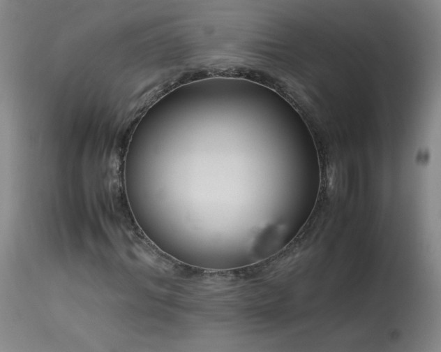 X0000113990964200910021219