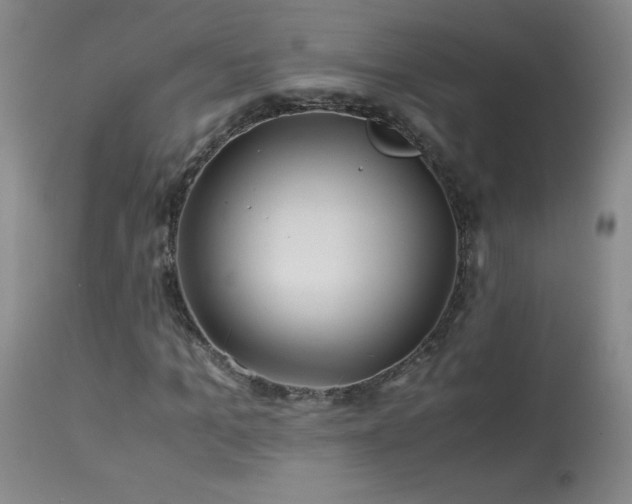 X0000113990965200910021219