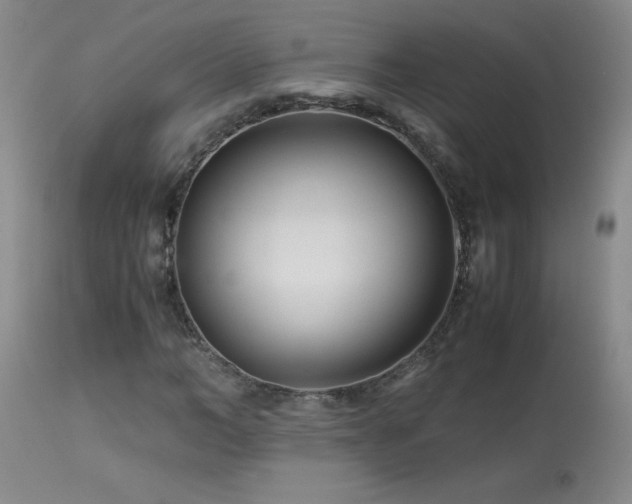 X0000113990966200910021219