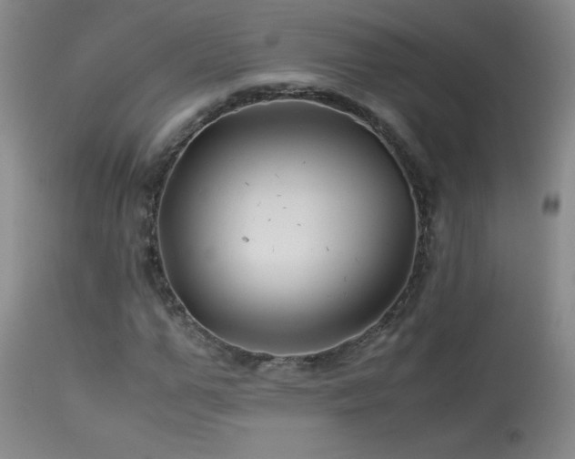 X0000113990967200910021219