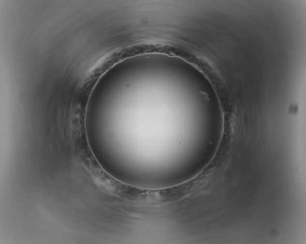 X0000113990968200910021219