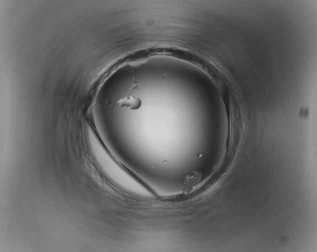 X0000113990969200910021219