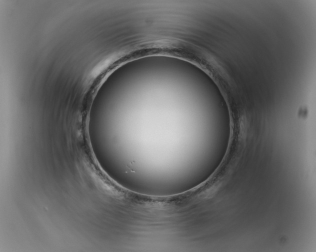 X0000113990970200910021219