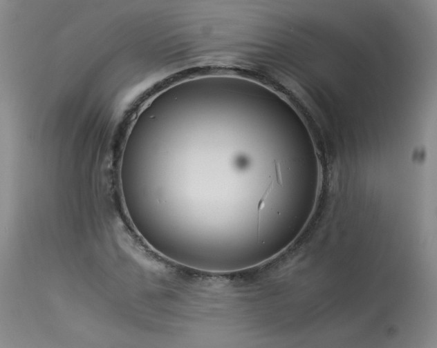 X0000113990971200910021219