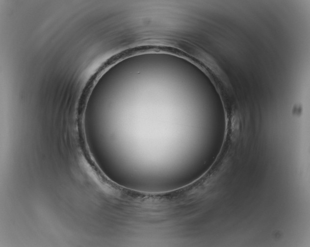 X0000113990972200910021219