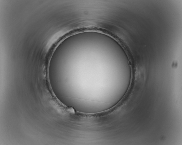 X0000113990973200910021218