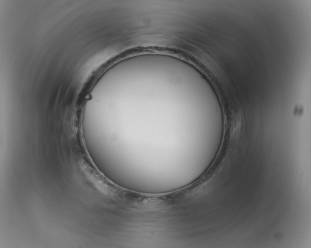 X0000113990974200910021218