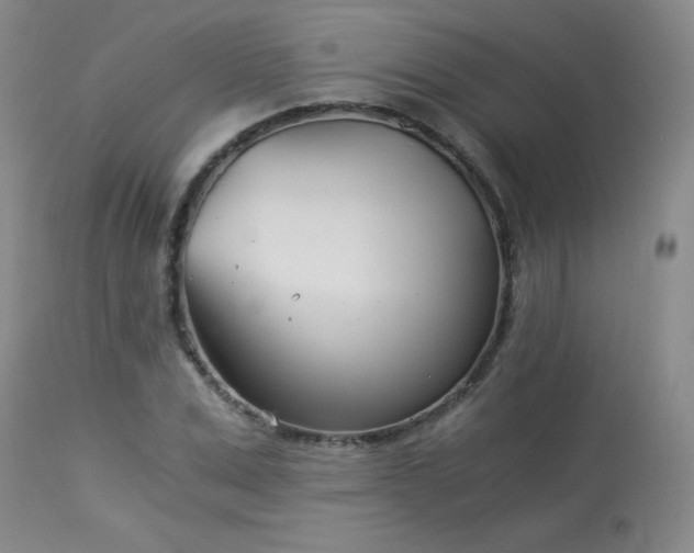 X0000113990975200910021218