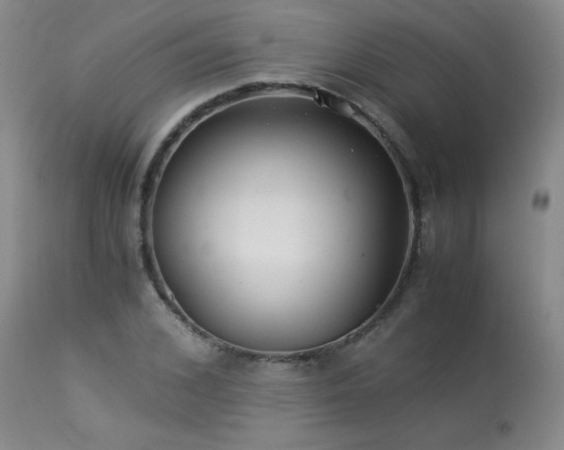 X0000113990976200910021218