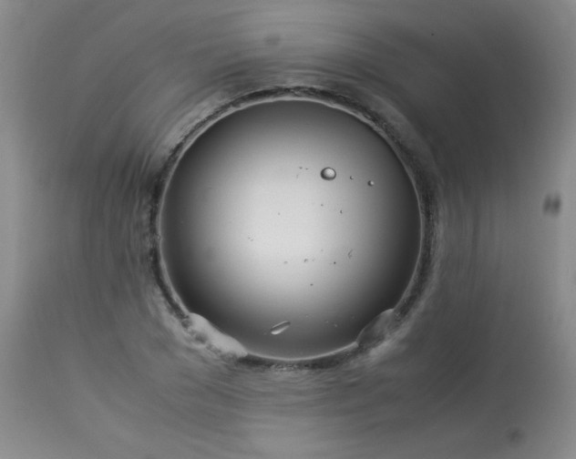 X0000113990977200910021218