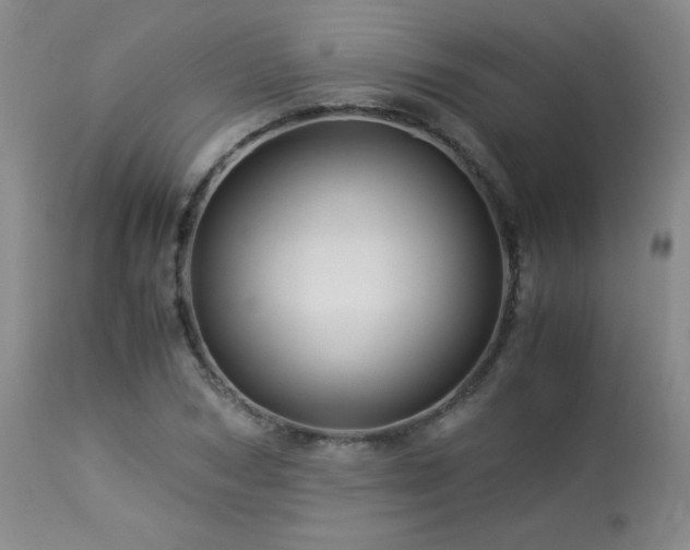 X0000113990978200910021218