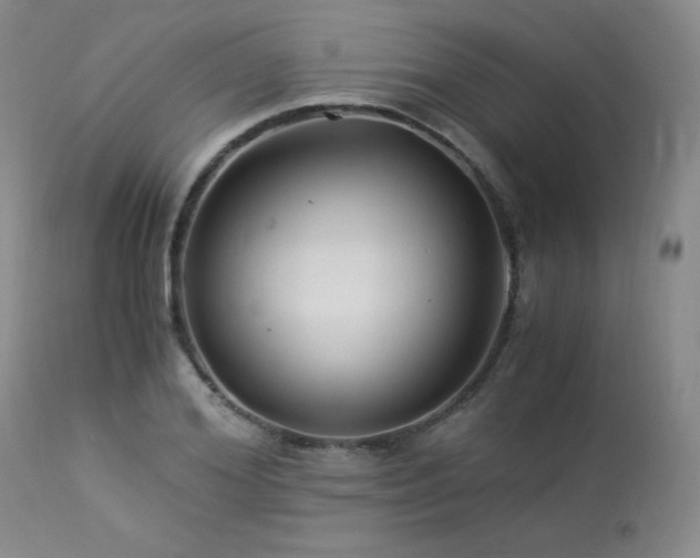 X0000113990980200910021218