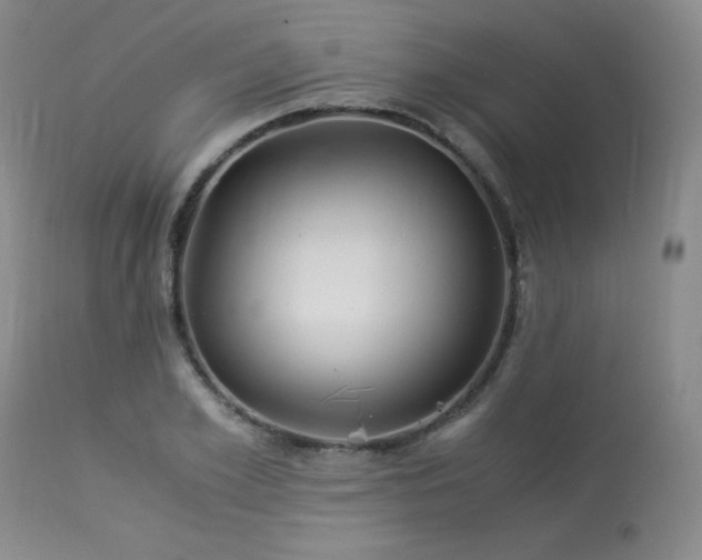 X0000113990981200910021218