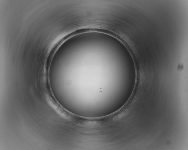 X0000113990982200910021218