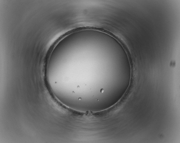 X0000113990983200910021218