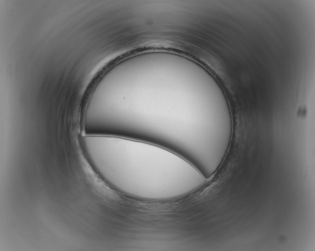 X0000113990984200910021218