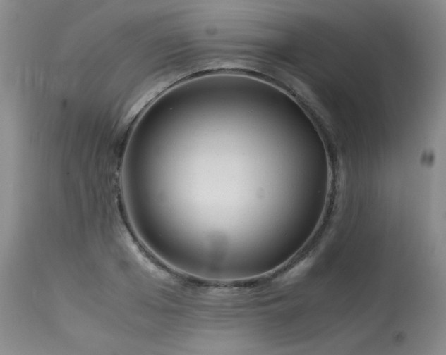 X0000113990985200910021218