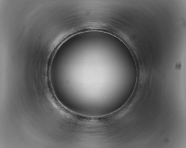 X0000113990986200910021218