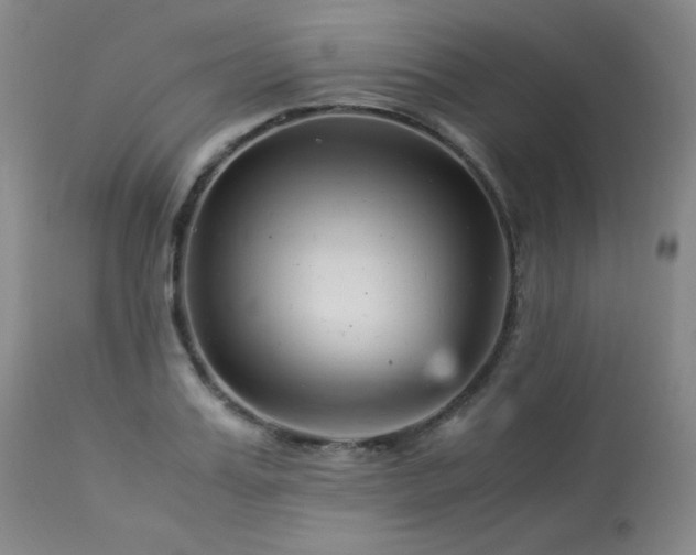 X0000113990987200910021218