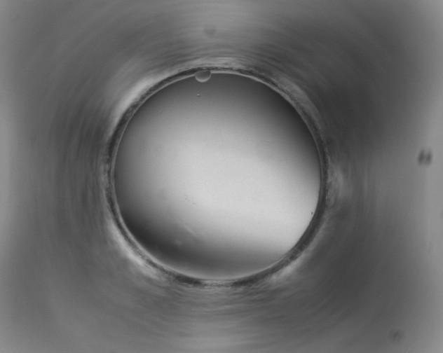 X0000113990989200910021218