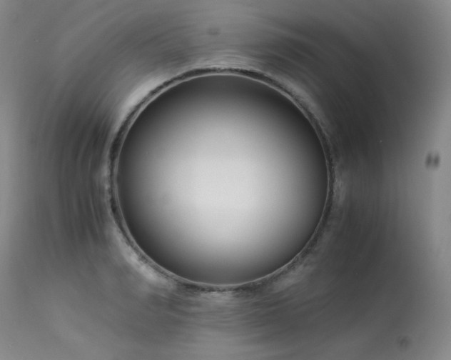 X0000113990990200910021218