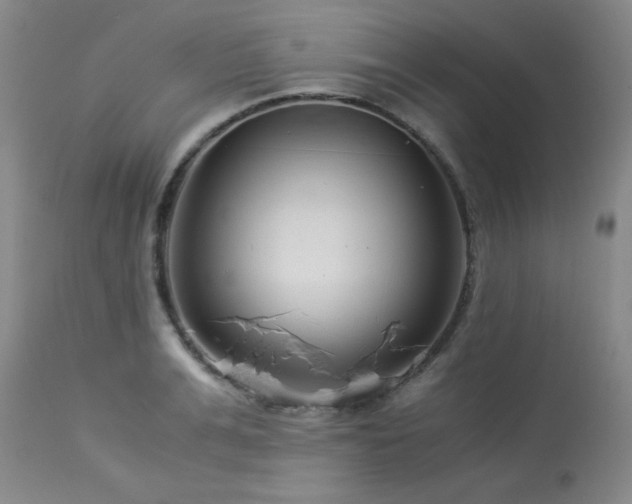 X0000113990991200910021218