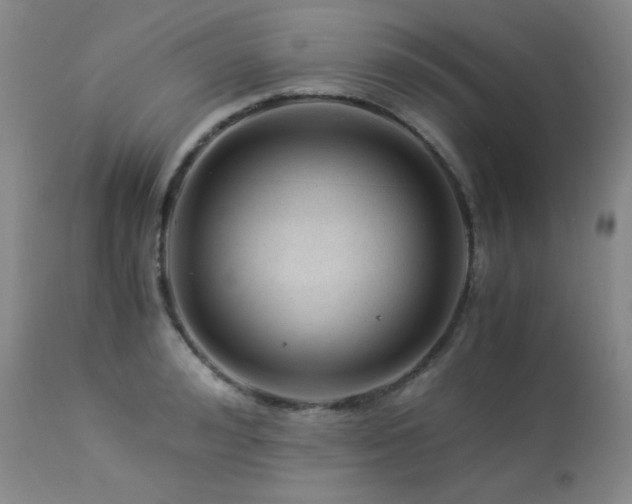 X0000113990992200910021218