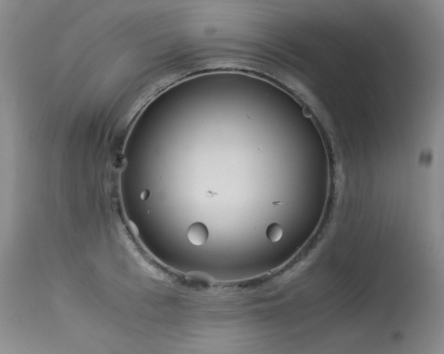 X0000113990993200910021218