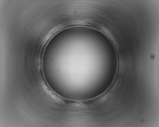 X0000113990994200910021218