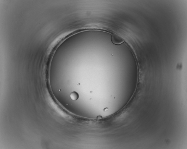 X0000113990995200910021218