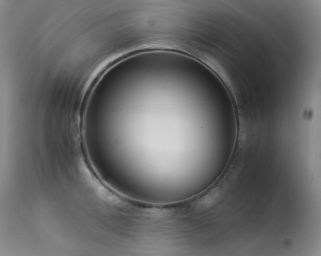 X0000113990996200910021218