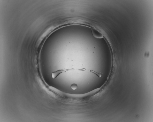 X0000113990997200910021218