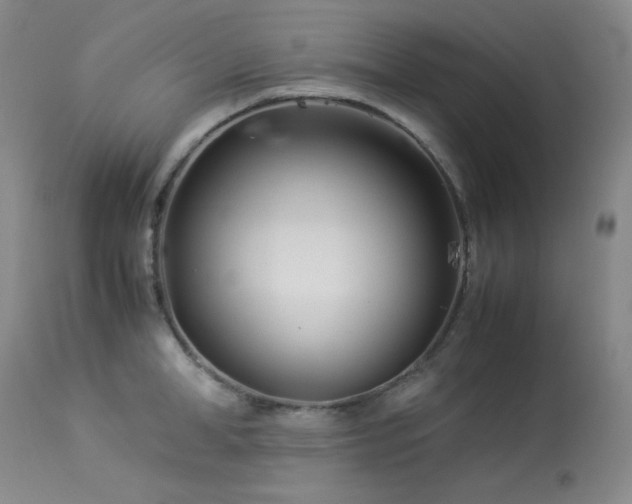 X0000113990998200910021218