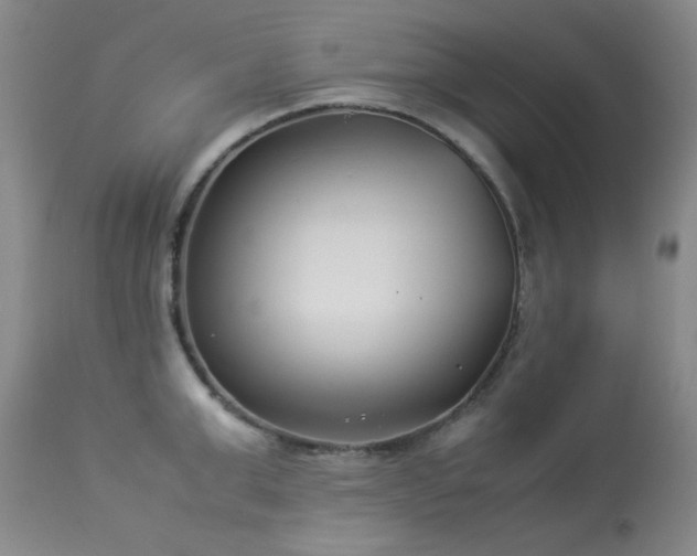 X0000113990999200910021218