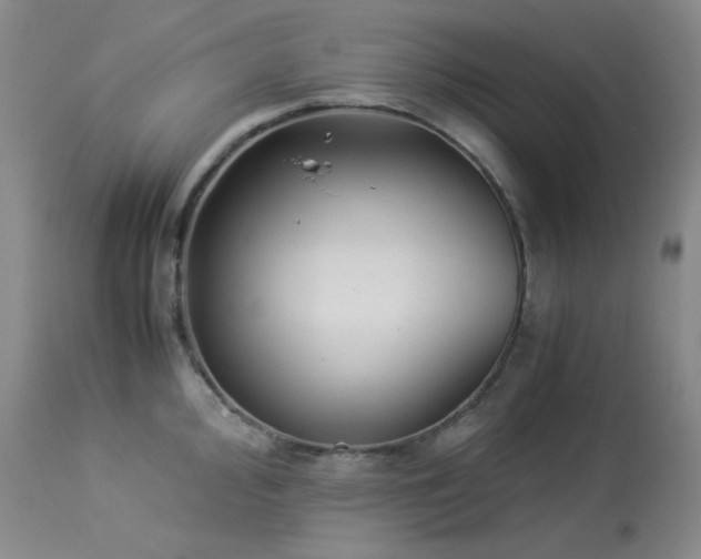 X0000113991000200910021218