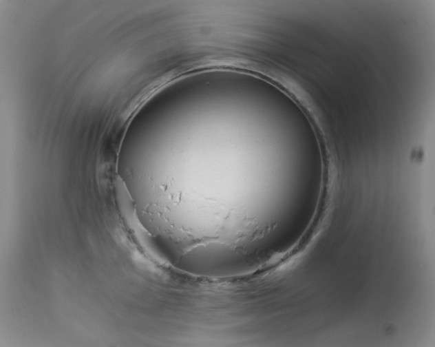 X0000113991001200910021218