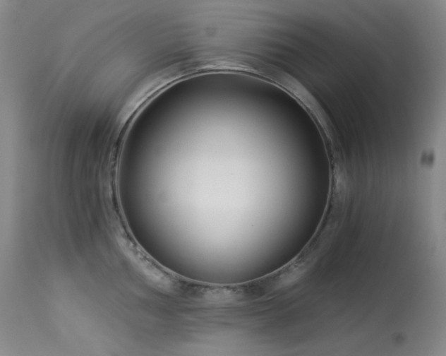 X0000113991002200910021218