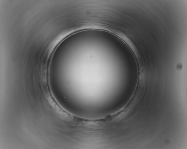 X0000113991004200910021218